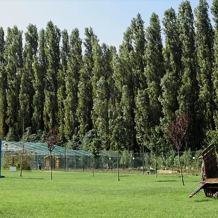 Hotel Ibis Styles Milano Est