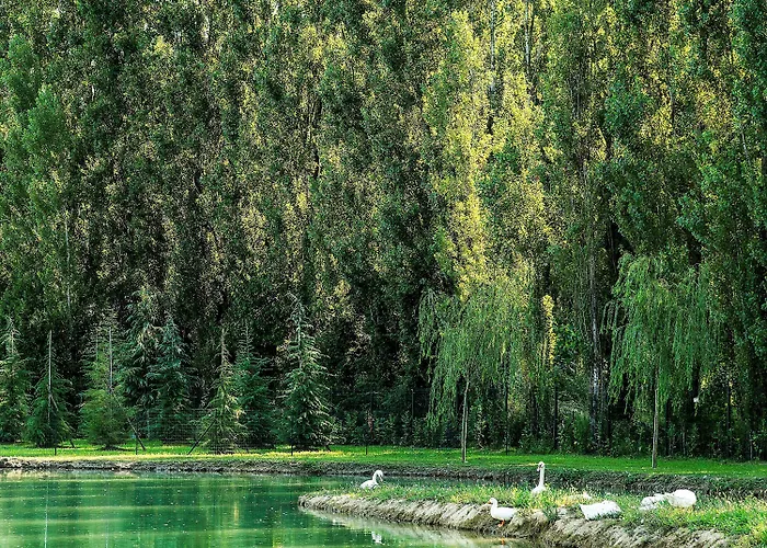 Hotel Ibis Styles Milano Est Settala